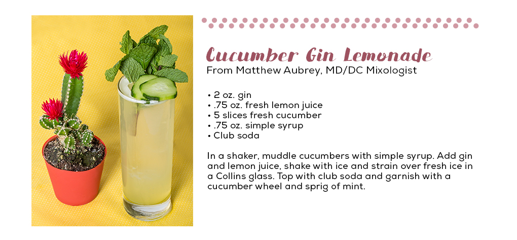 Cucumber Gin Lemonade