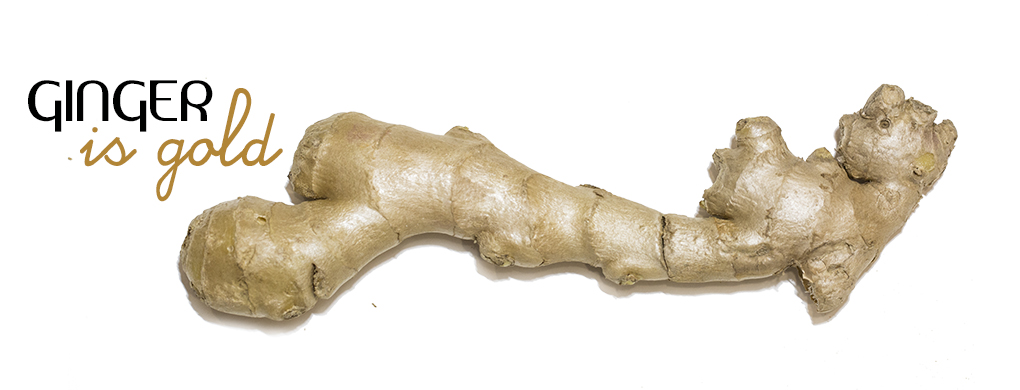 特売 NICENESS GINGER 21ss テーラードジャケット - www.myren.net.my