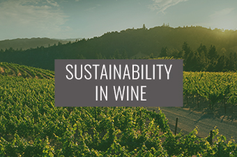 Sustainability in Wine