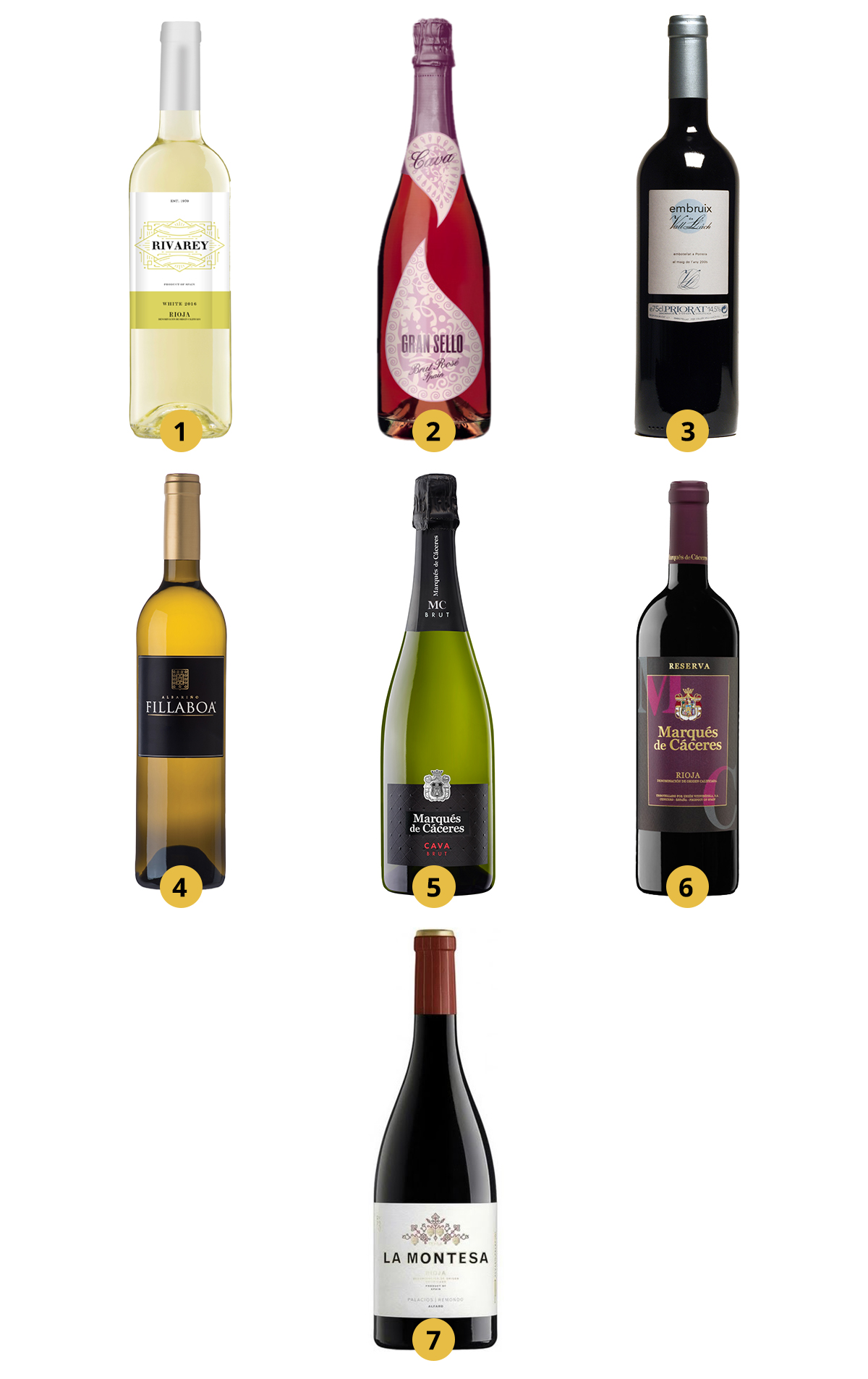 SC Spanish Wines