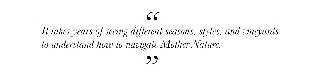 WiW Dempsey quote