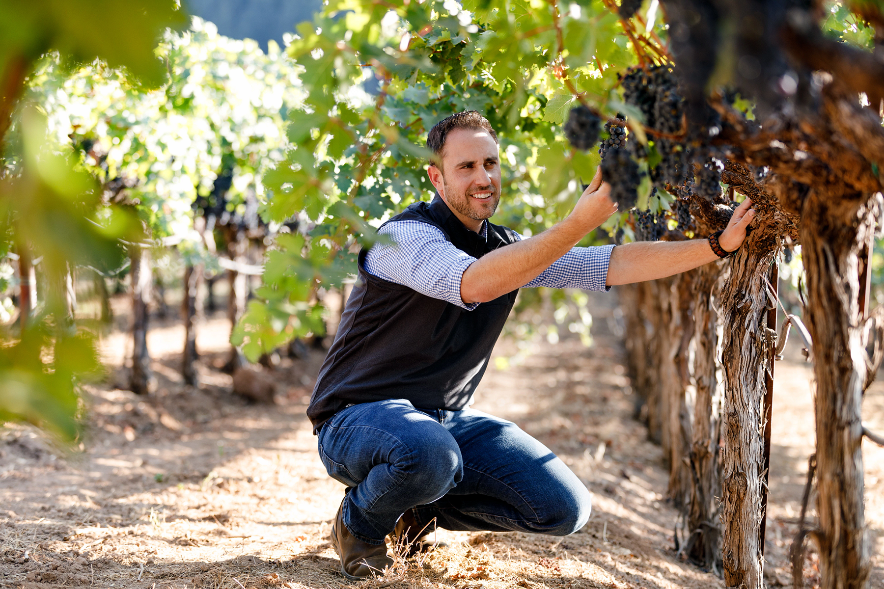 Trevor Durling kneeling on Beaulieu Vineyard grounds