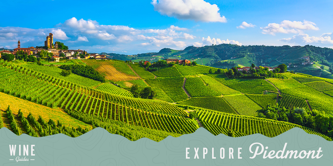 piedmont italy vineyard