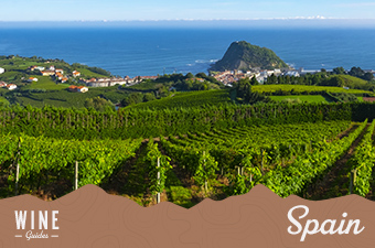 spain wine guide thumbnail