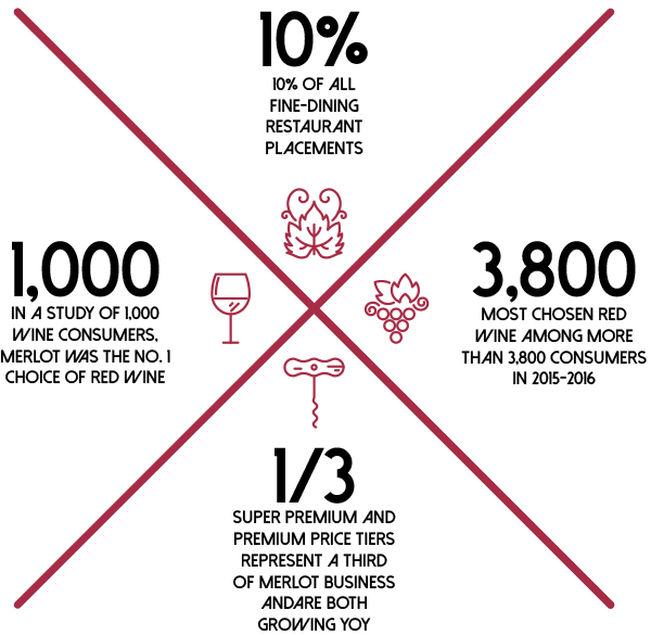 MerlotMe October Infographic Image