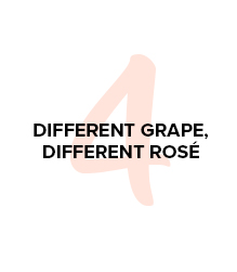 Rose List #4 Image