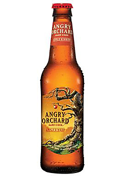 Apple Ginger Cider