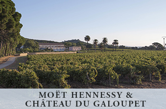 Moët Hennessy & Château du Galoupet (text) with vineyard photo