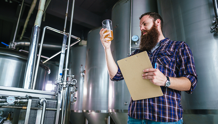 bearded man inspecting beer quality by brewery equipment