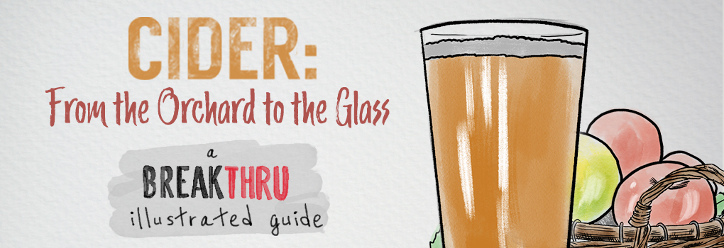 Cider: A Breakthru Illustrated Guide