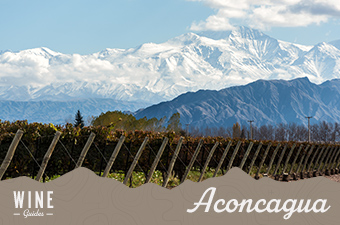 aconcagua valley chile - wine guidethumb