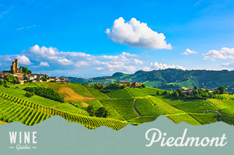piedmont italy - wine guide thumb
