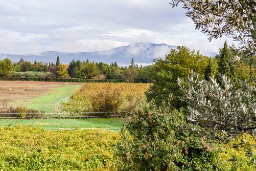 French winegrowing region