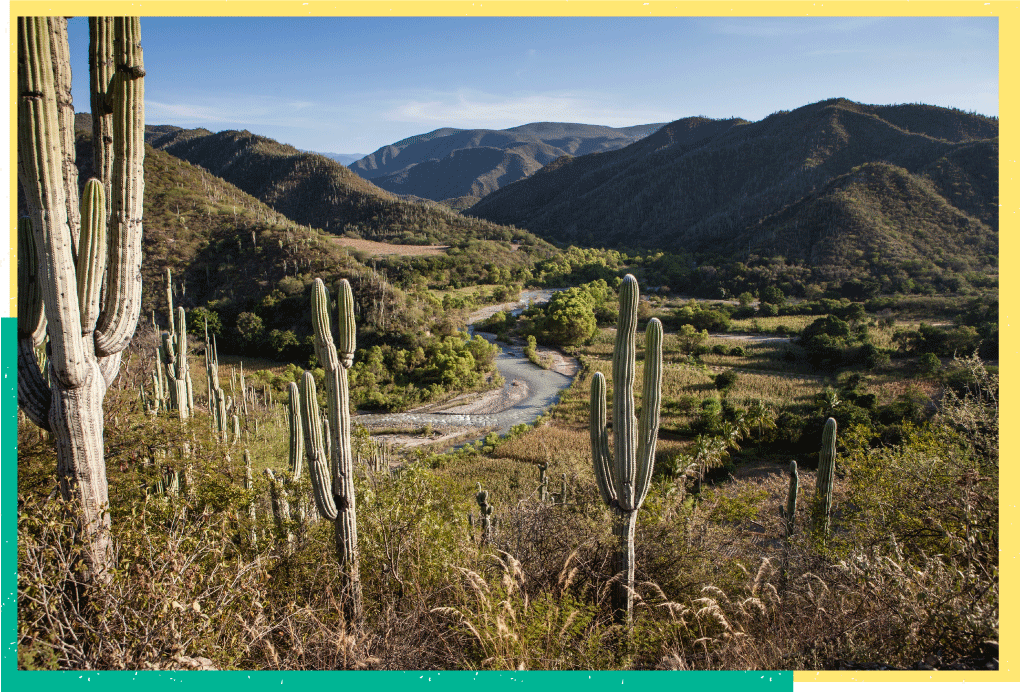 Oaxaca rural landscape