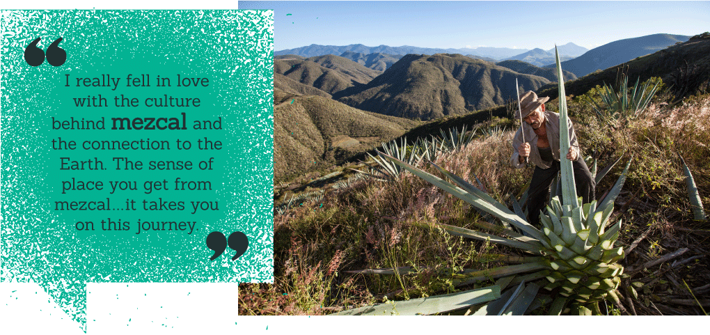 Aquilino García in the field, along with quote, from Judah Kuper: 'I really fell in love with the culture behind mezcal and the connection to the Earth. The sense of place you get from mezcal...it takes you on this journey.'